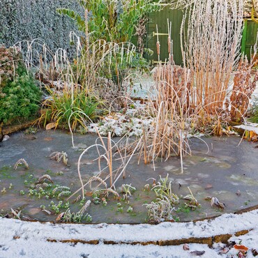 Vereister Teich im Winter