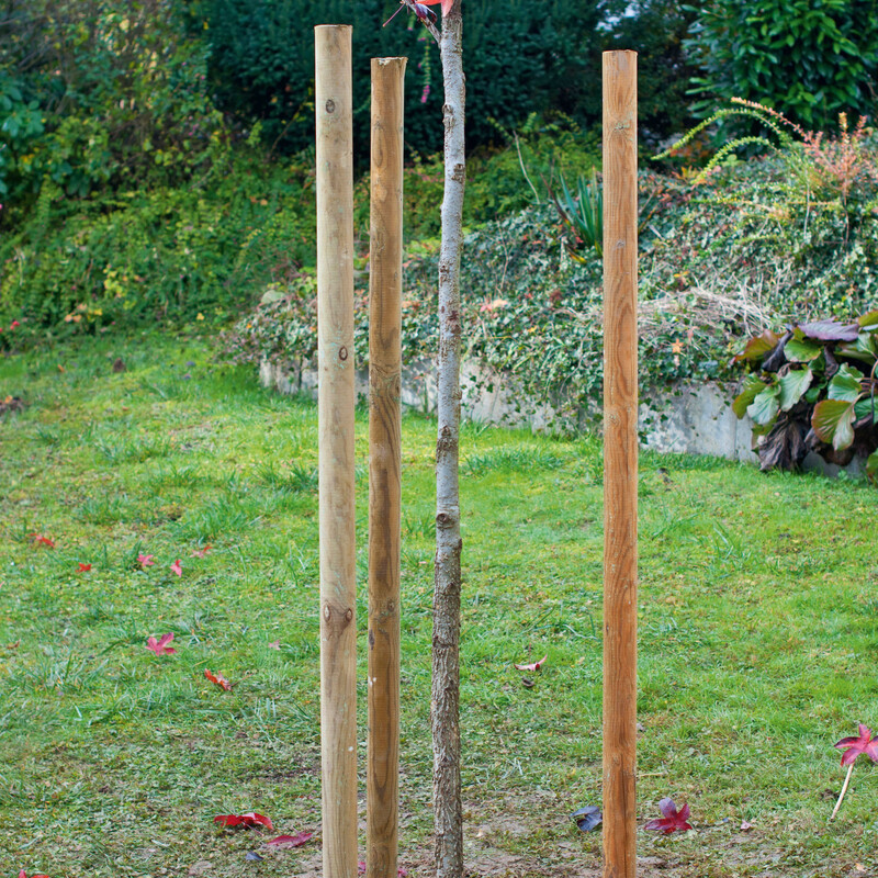 Baum stützen Schritt 1