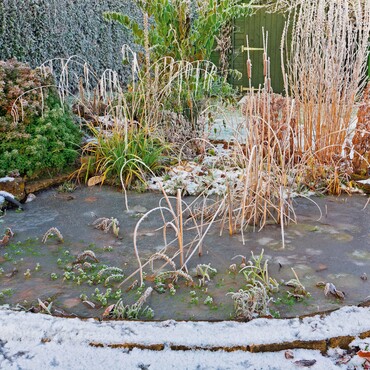 Vereister Teich im Winter