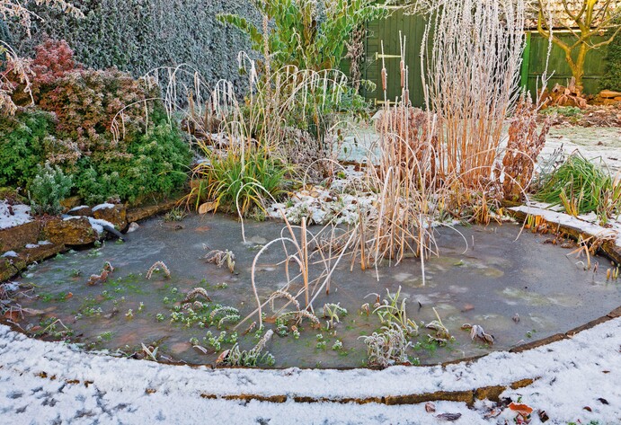 Vereister Teich im Winter