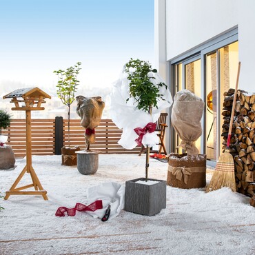 Verschiedene Pflanze mit Winterschutzvlies