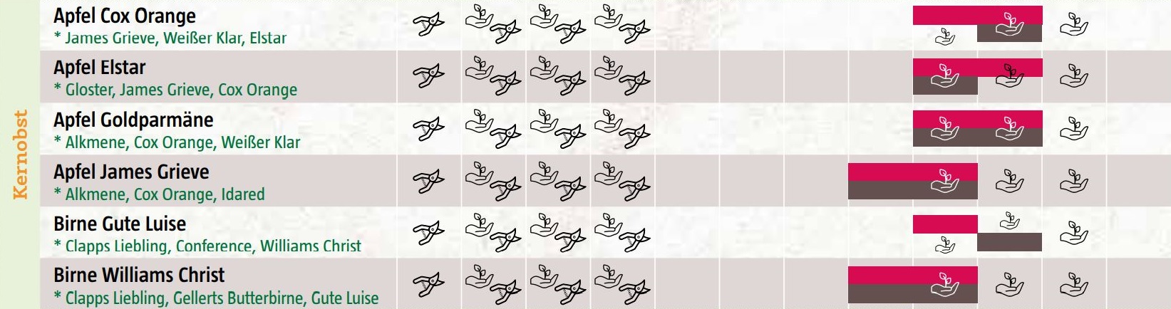 Saisonkalender Kernobst