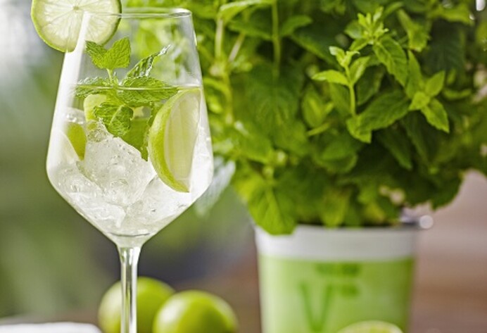 Hugo-Cocktail mit Minze im Topf