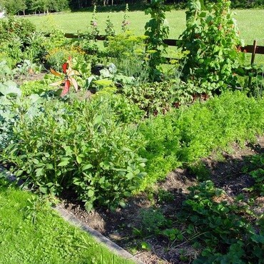 Blick auf einen Schrebergarten