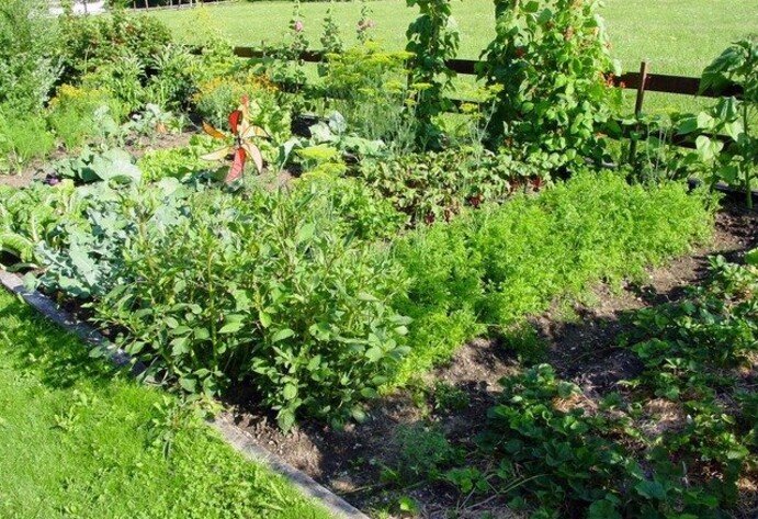 Blick auf einen Schrebergarten