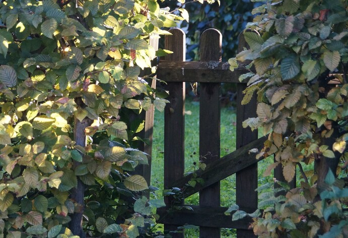 Gartentor aus Holz