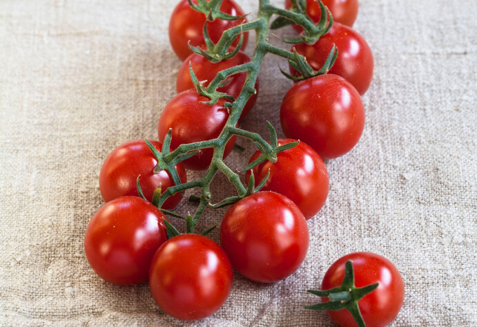 Necktartomate Solena