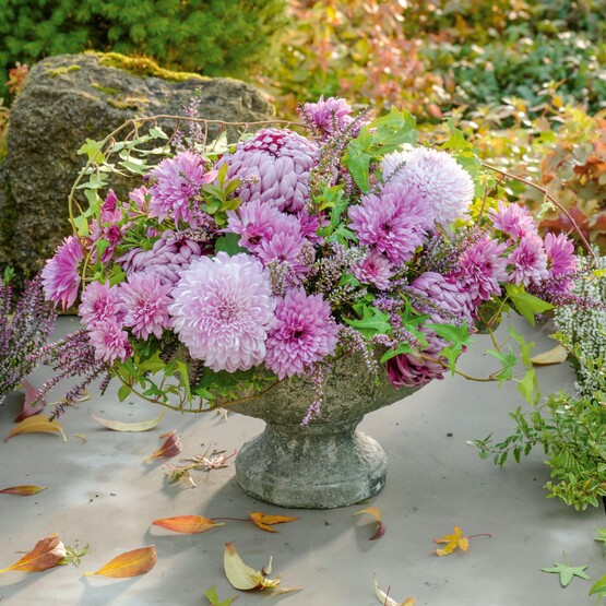 Rosa Gesteck mit Herbst-Chrysanthemen und Heide
