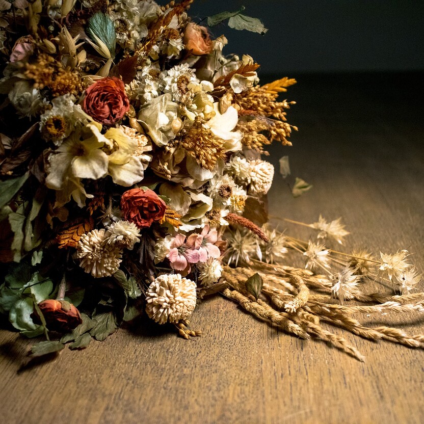 Verschiedene Trockenblumen