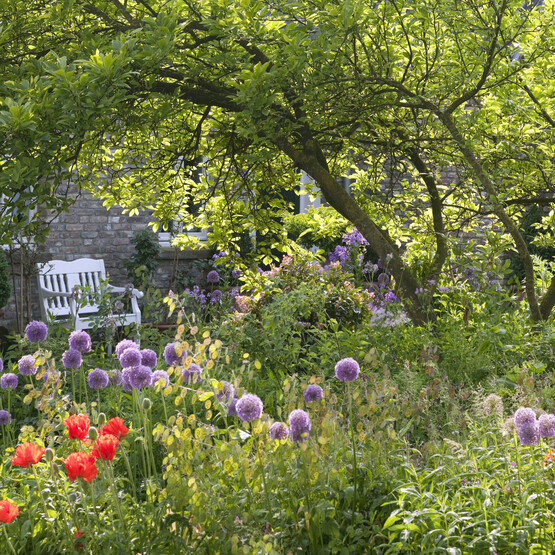Garten mit verschiedenen Stauden