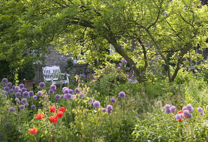 Garten mit verschiedenen Stauden