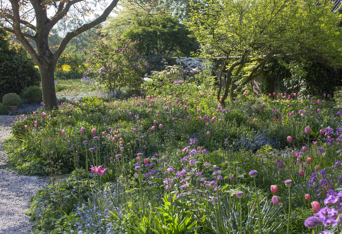 Blumenzwiebeln bieten vielfältige Möglichkeiten zur Gartengestaltung