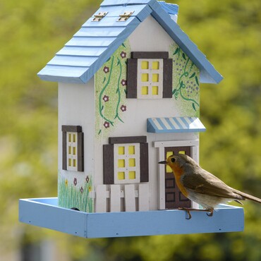 Rotkehlchen am Futterhaus