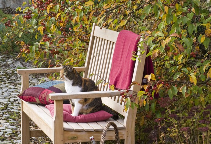 Katze auf einer Bank im Garten
