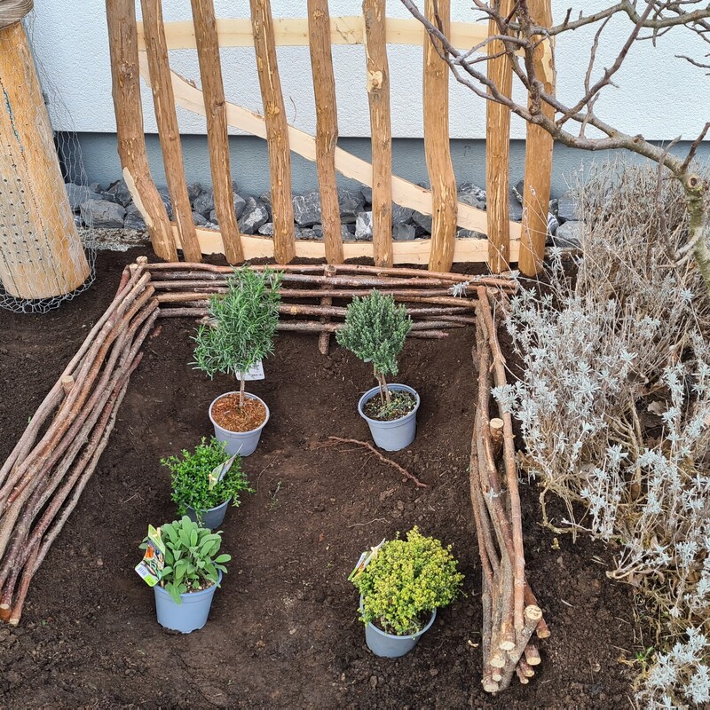 Beetumrandung aufstellen