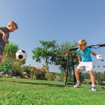 Rasensorte: Sportrasen