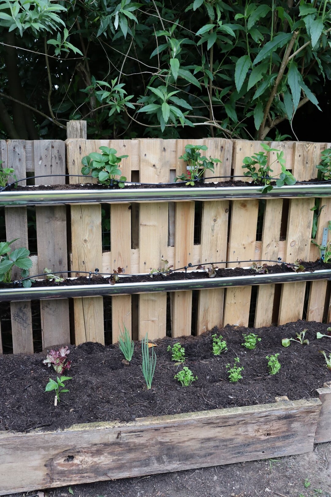 DIY: Dachrinnenpflanzsystem | richtiggut.de