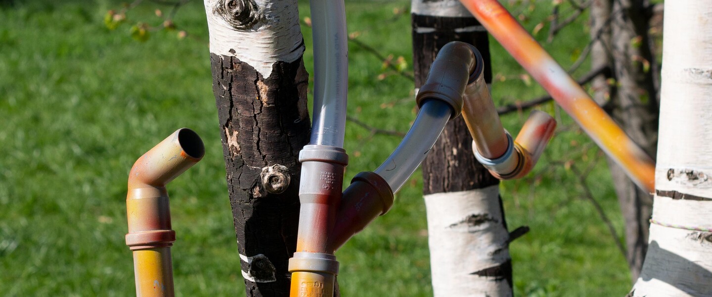DIY-Murmelbahn lehnt an Birkenbaum im Park