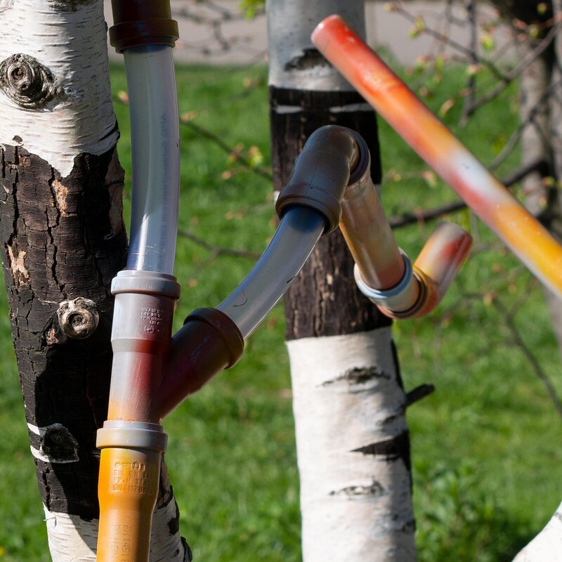 DIY-Murmelbahn lehnt an Birkenbaum im Park
