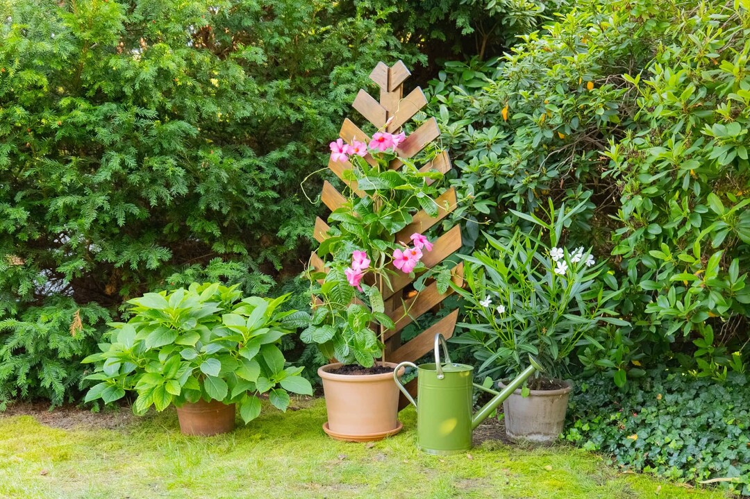 DIY: Rankhilfe in Blattform | richtiggut.de
