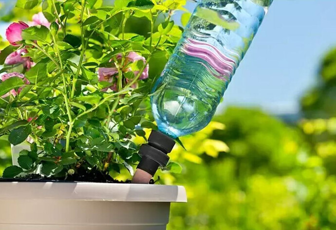 Über den Tonkegel holt sich die Pflanze immer genau so viel Wassermenge, wie sie benötigt.