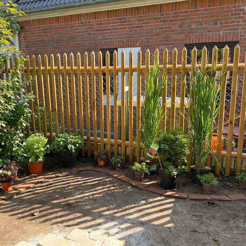 Beet vor Holzzaun im Garten