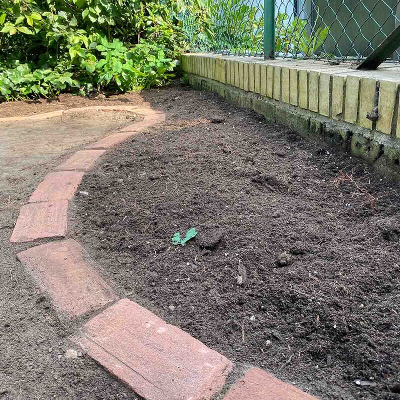 Neu angelegtes und mit Pflastersteinen umrandetes Beet