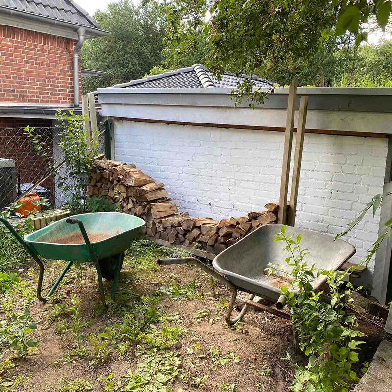 Verwilderte Gartenecke mit Unkraut und mit zwei Schubkarren