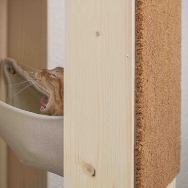 Katze macht es sich in der Hängematte gemütlich