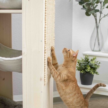 Katze erkundet Kratztonne