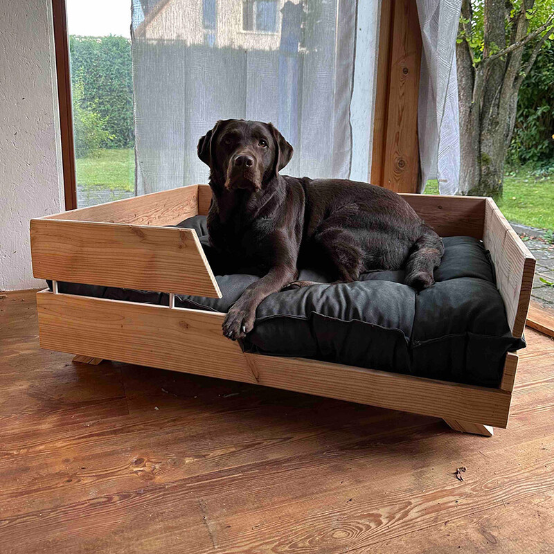 Labrador Hund sitzt in selbstgebautem Hundebett von Creatorin Mara Pischl
