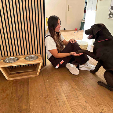 Hund gibt sitzender Frau Pfötchen
