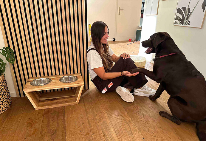 Hund gibt sitzender Frau Pfötchen