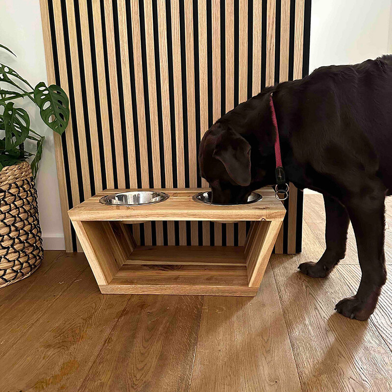 Hund frisst aus Fressnapf