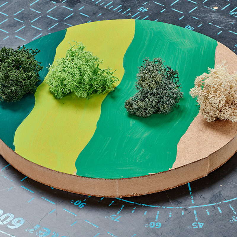 Moos auf bemaltem Holz