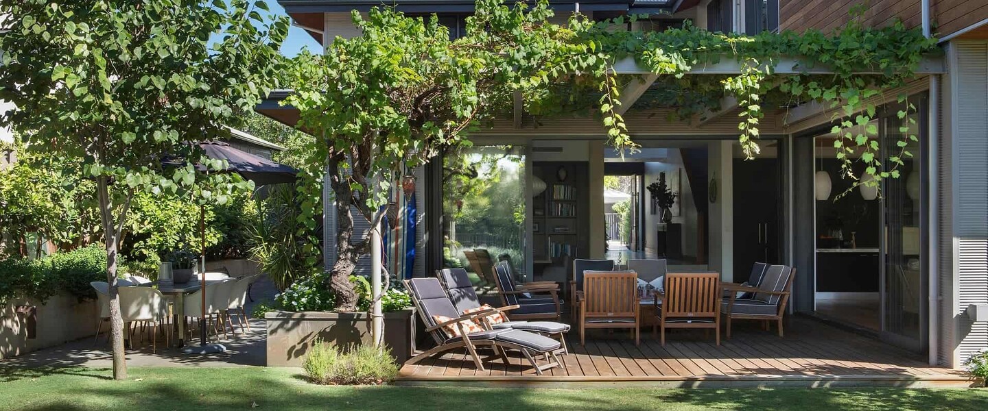 Pergola mit Wein
