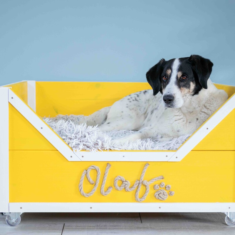 Fertiges Hundebett für Herrn Olaf
