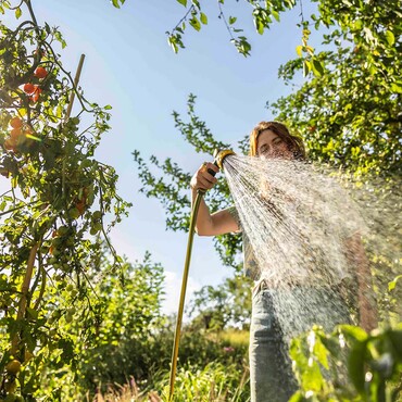 Frau steht im Gaeten neben Tomatenpflanze und wässert mit Gartenschlauch Beet