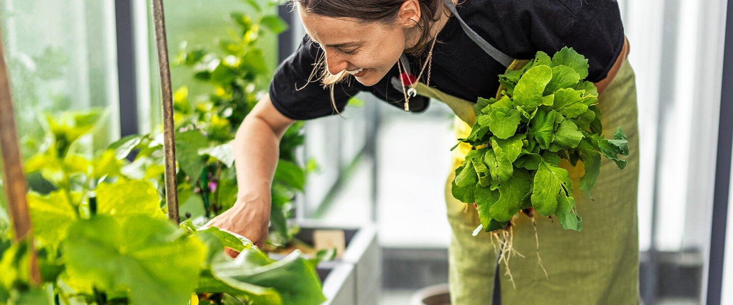 Frau h&auml;lt Salat in der Hand und beugt sich &uuml;ber Hochbeet auf dem Balkon