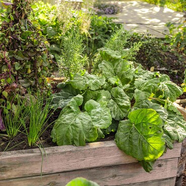 Bepflanztes Hochbeet aus Holz im Garten
