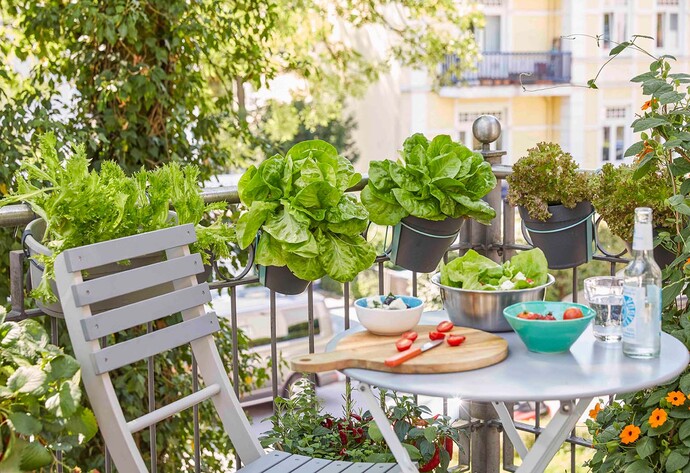 Tischchen auf dem Balkon umgeben von Salat und Kräutern in Töpfen