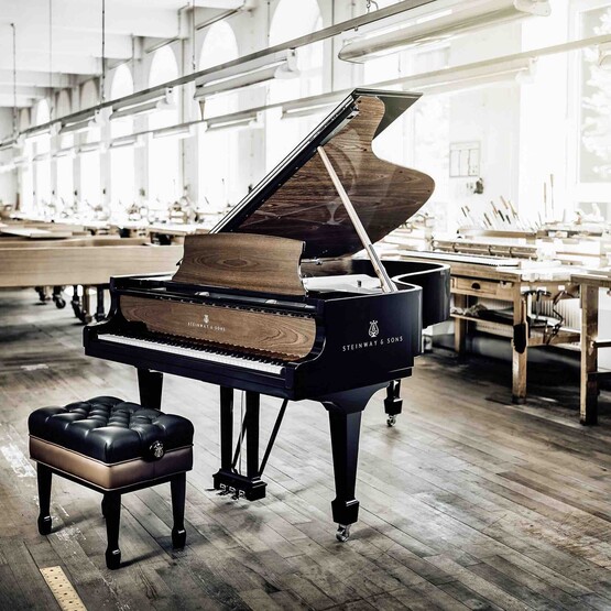 Fl&uuml;gel von Steinway & Sons