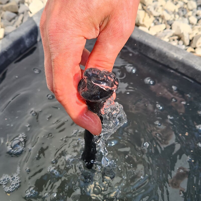 Wasserpumpe testen