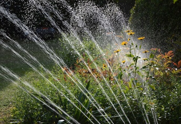 Rasensprenger bewässert Pflanzen im Garten