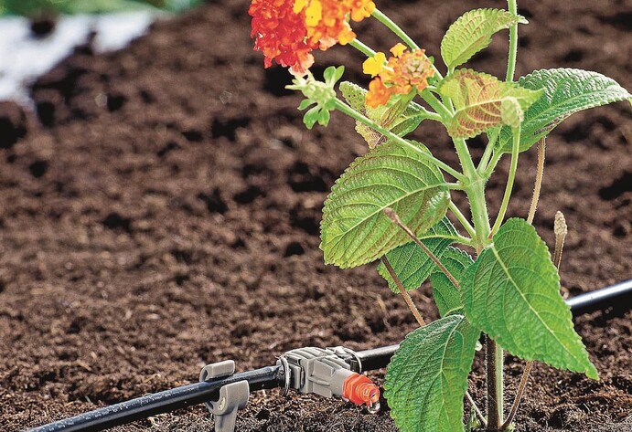 Pipleine-Bewässerungssystem im Garten in Nahaufnahme