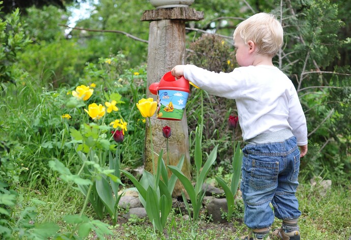 Junge gießt Blumen