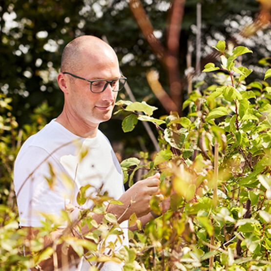 Mann mit Brille (Geschäftsführer Johannes Huber von Samen Maier) im Garten seines Unternehmens
