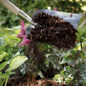 Rindenmulch zum Schutz verteilen