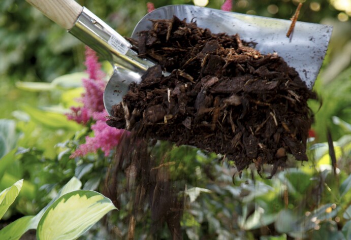 Rindenmulch zum Schutz verteilen