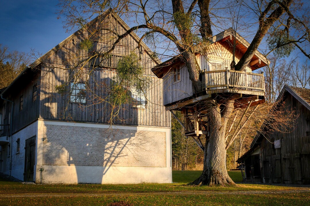 Baumhaus selber bauen | richtiggut.de
